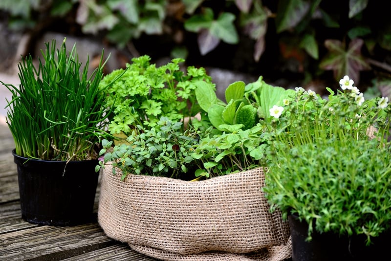 Herb garden options