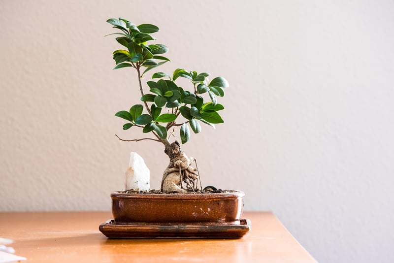 Sustainable living