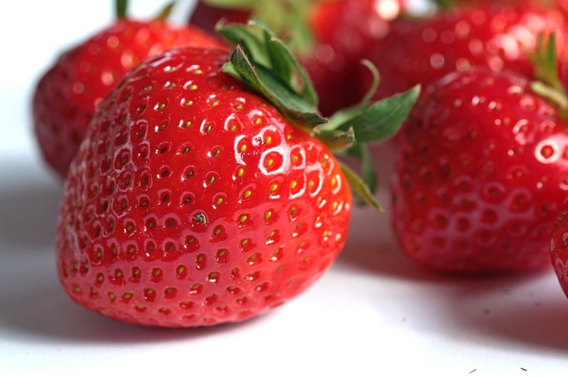 Strawberry plant
